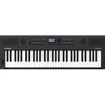 Roland GO:KEYS5-GT 61-Key Music Creation Keyboard - Granite Black