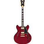 D'Angelico EXCEL DC w/case Semi-Hollow Double Cutaway Electric Guitar - Trans Cherry