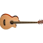 Washburn AB5 Acoustic Bass Guitar w/bag  - Natural