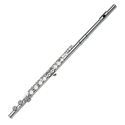 Gemeinhardt 2SP-ANG1 Student Closed Hole Flute