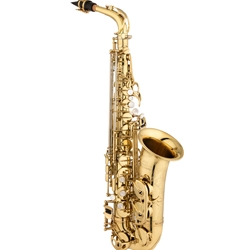 Eastman EAS650 Rue Saint Georges Professional Alto Saxophone