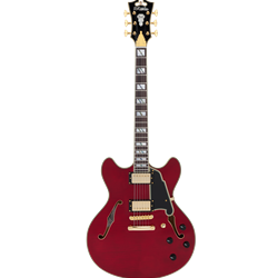 D'Angelico EXCEL DC w/case Semi-Hollow Double Cutaway Electric Guitar - Trans Cherry